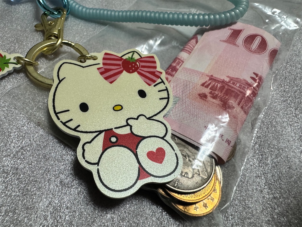 f:id:Tabinohensyokuka:20250328212416j:image