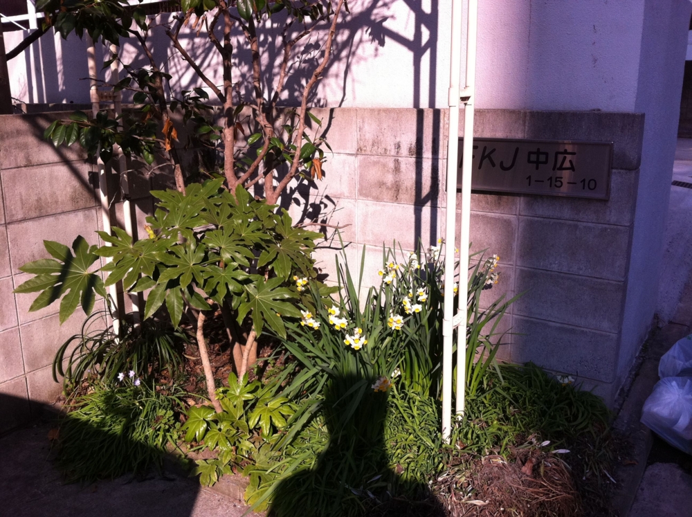 f:id:Taffy:20110330214138j:image