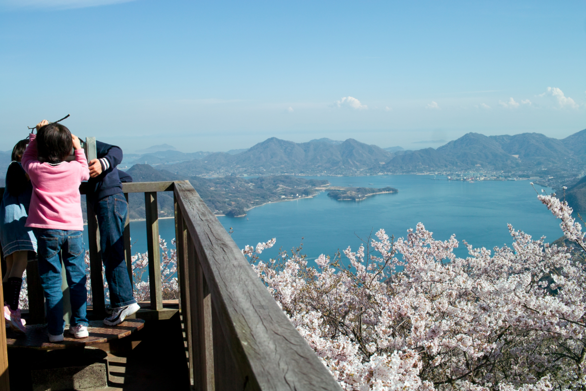 f:id:Taffy:20120418191318j:image