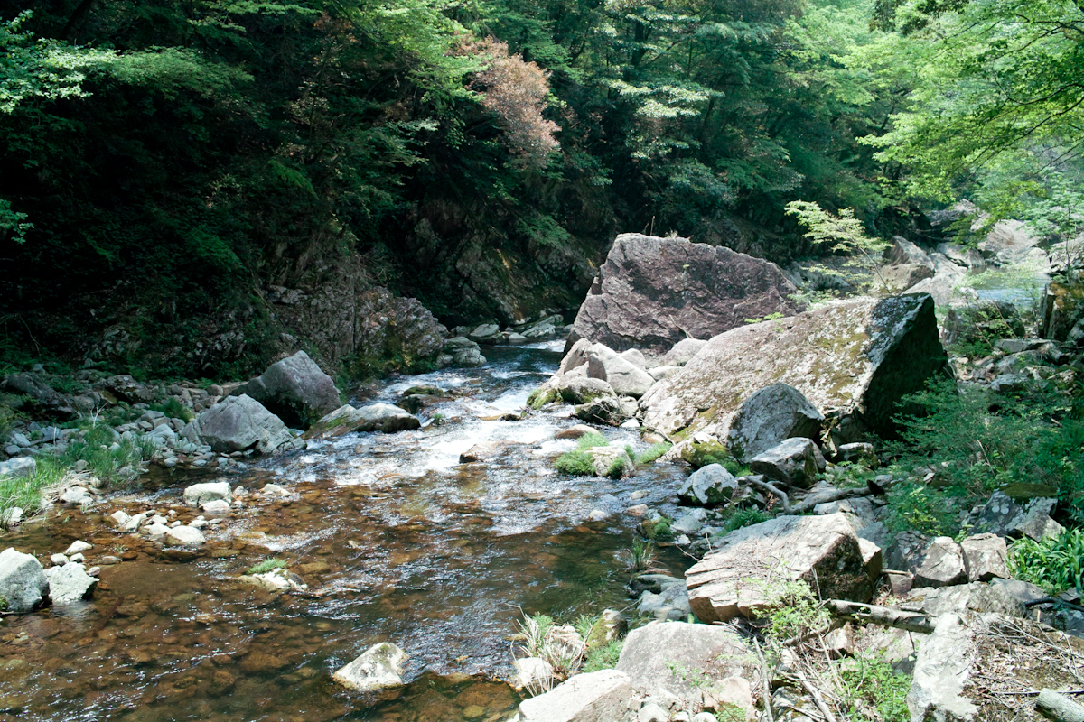 f:id:Taffy:20120514182904j:image