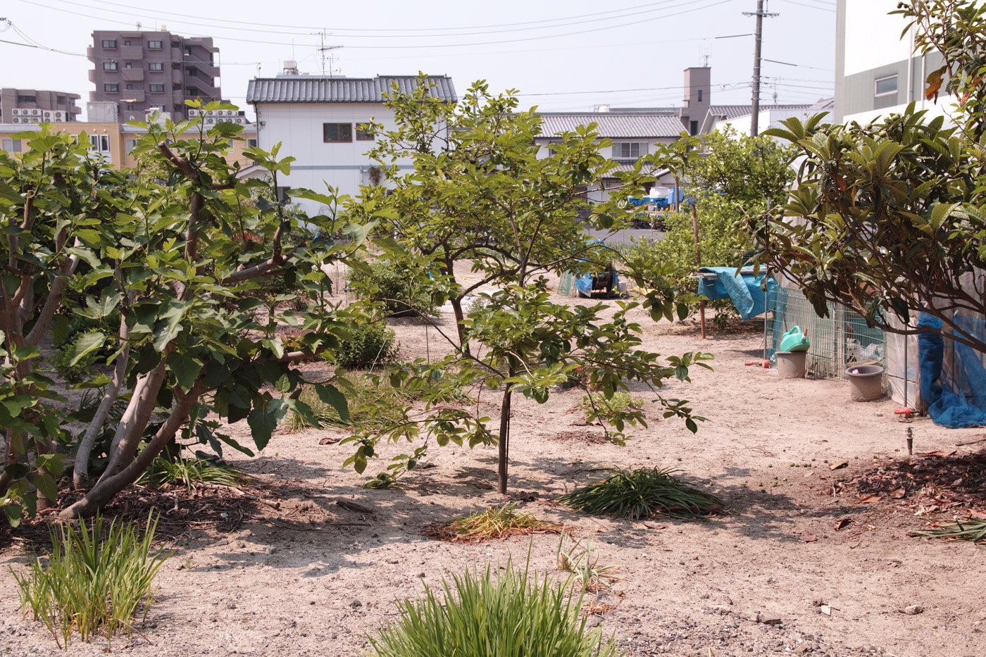 f:id:Taffy:20120530124033j:image
