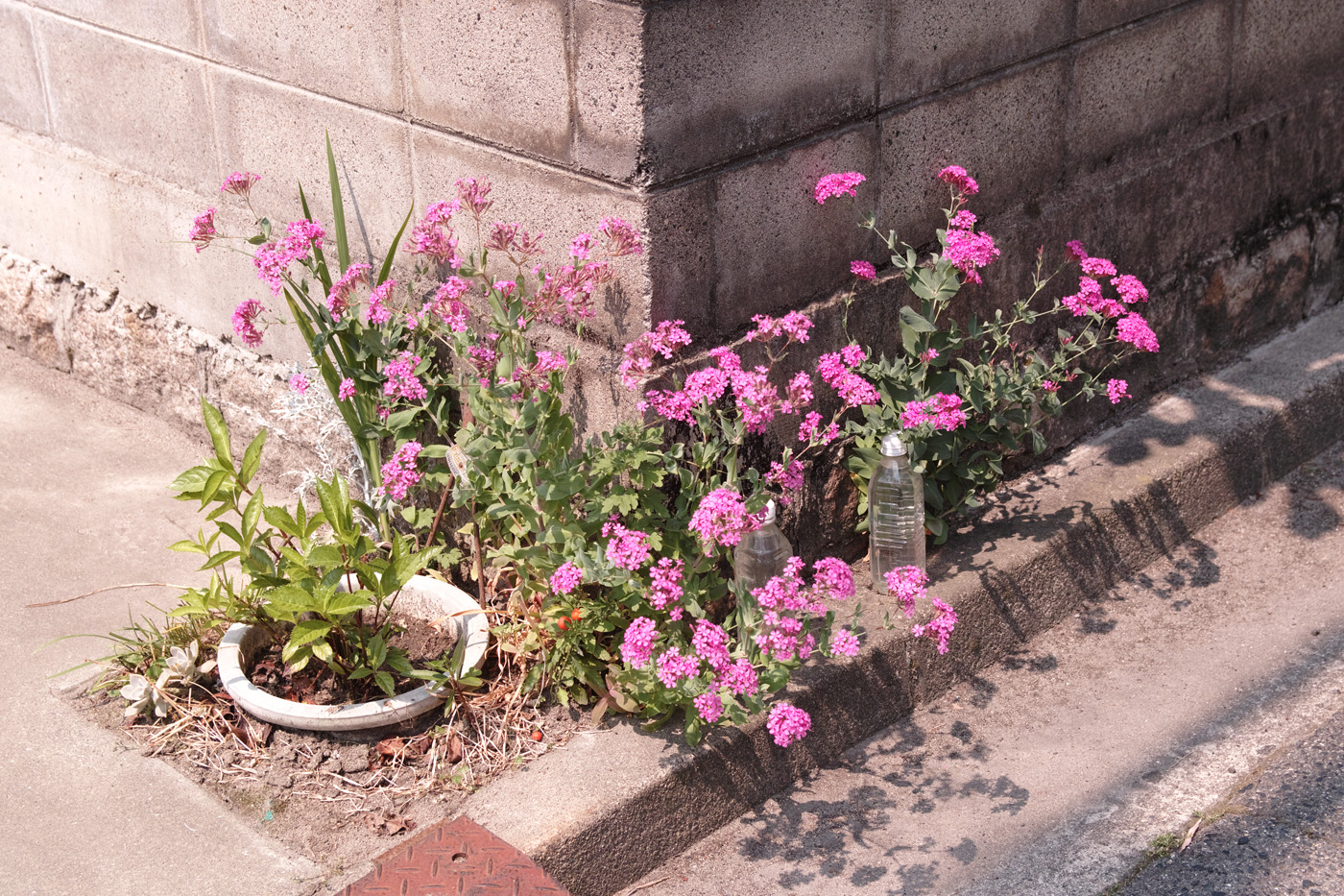 f:id:Taffy:20120530124039j:image
