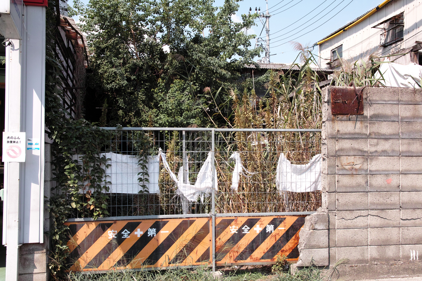 f:id:Taffy:20120921175332j:image