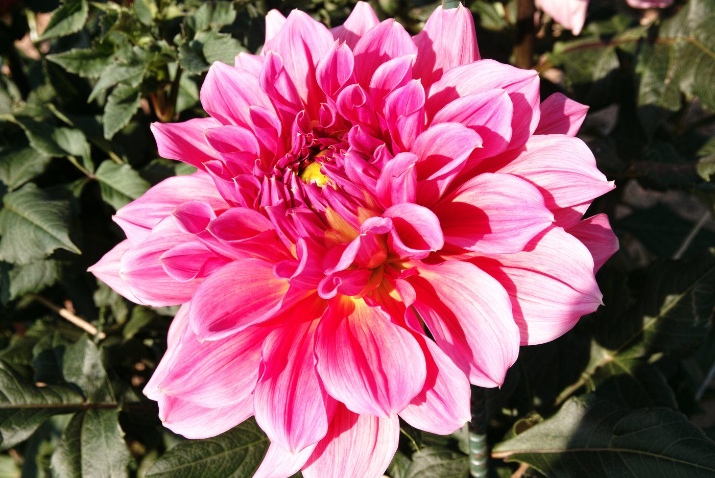 f:id:Taffy:20120925204157j:image