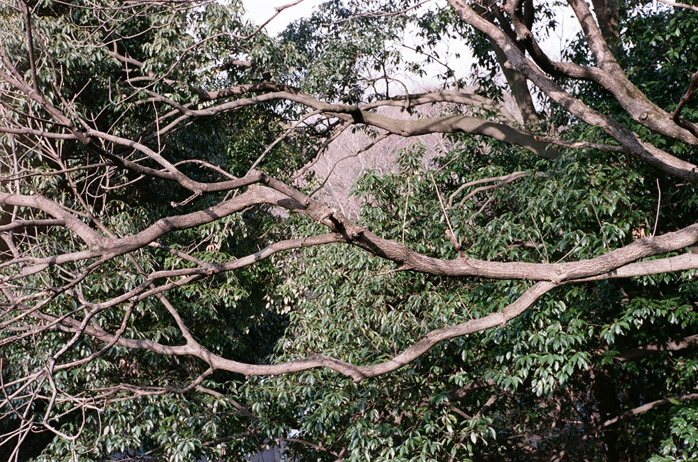 f:id:Taffy:20130606161227j:image