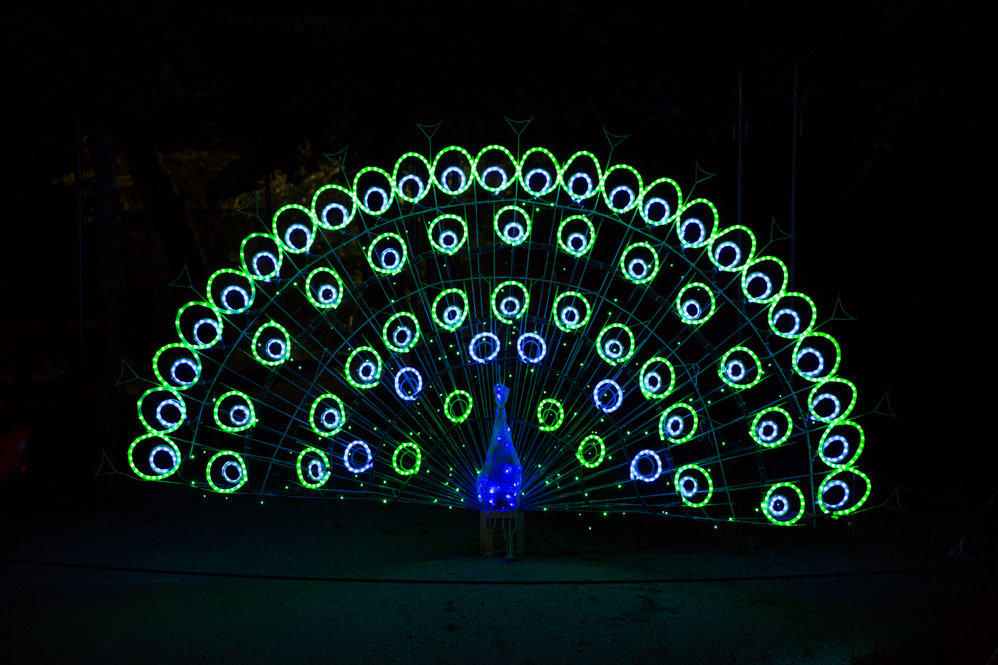 f:id:Taffy:20130901141320j:image