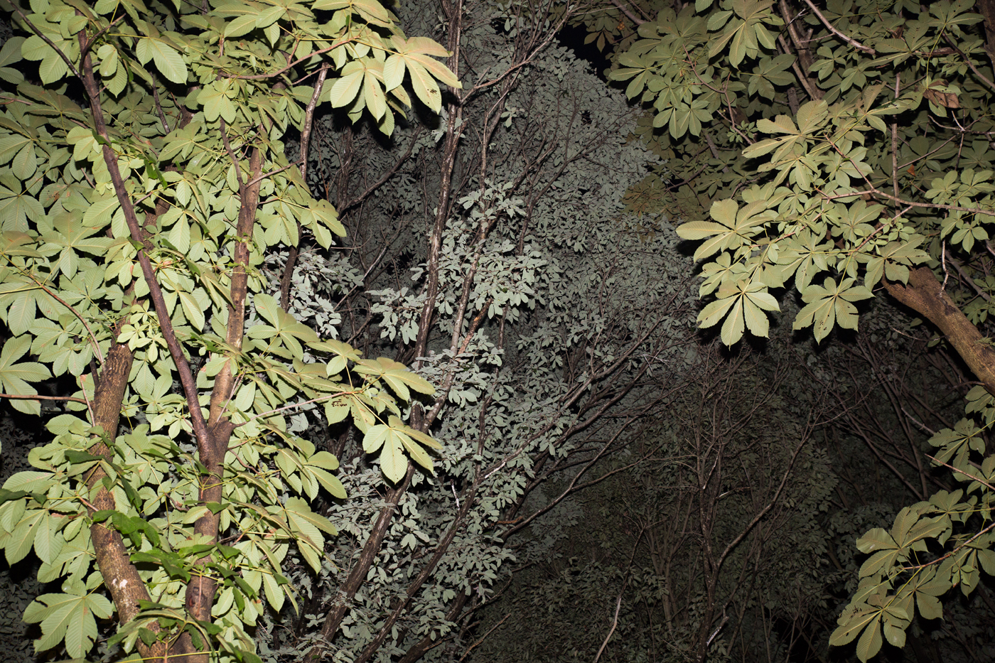 f:id:Taffy:20130901145129j:image