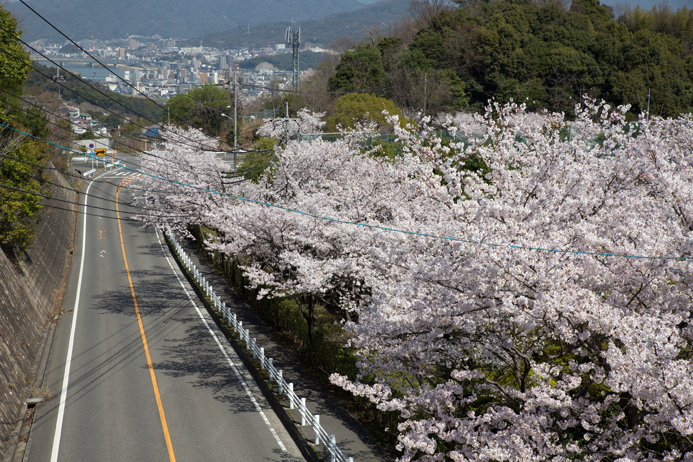 f:id:Taffy:20140402175251j:image