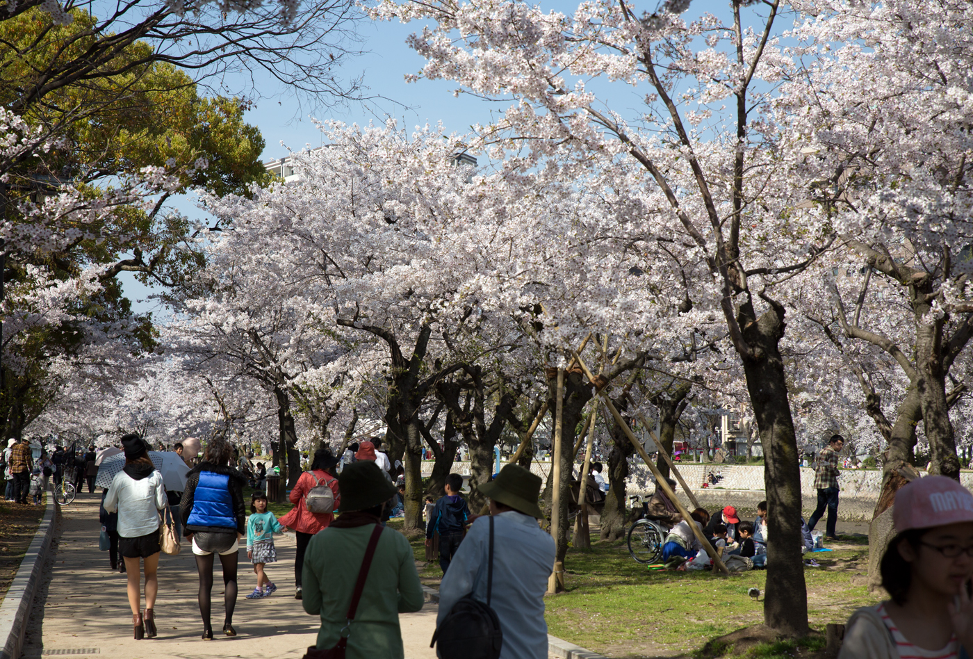 f:id:Taffy:20140402175253j:image