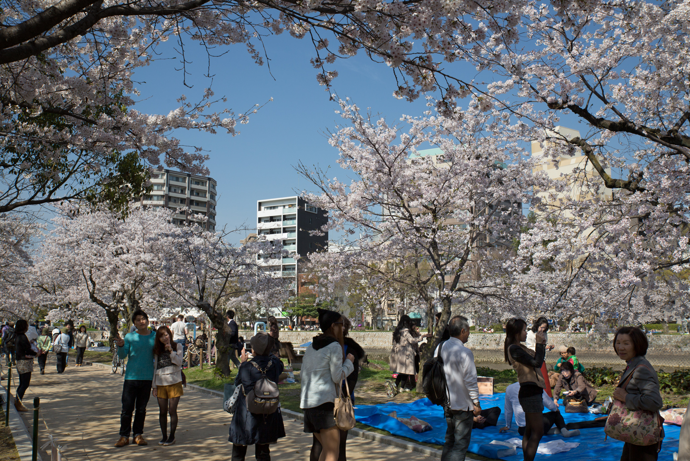 f:id:Taffy:20140402175254j:image