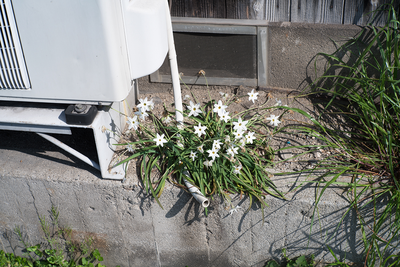 f:id:Taffy:20160416162121j:image