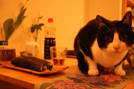 f:id:Tahrir:20100204012412j:image f:id:Tahrir:20100204012412j:image