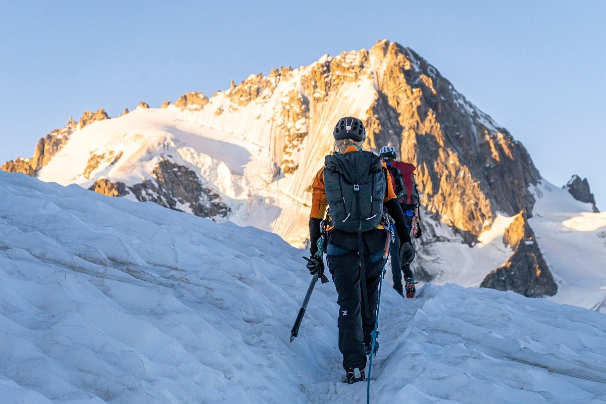 ホワサバ】ポイ活Lv23最短攻略ガイド！効率プレイ手順で5,000円越えを狙う！ - 【ゲーム特化】佐々木ライフハック
