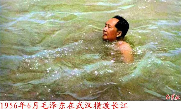 f:id:TailEnder:20200626000803p:plain