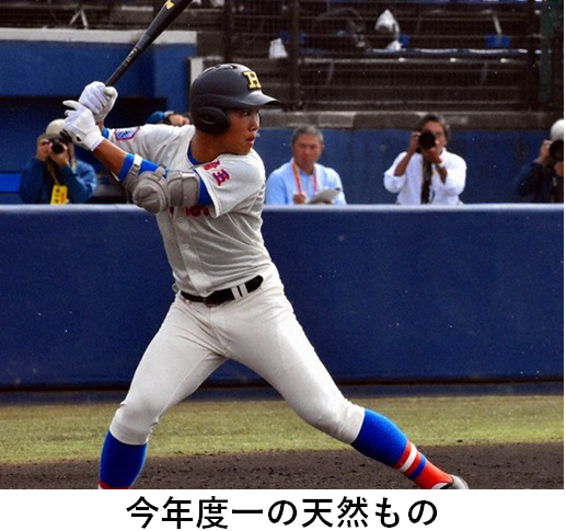 f:id:TailEnder:20201209025154p:plain