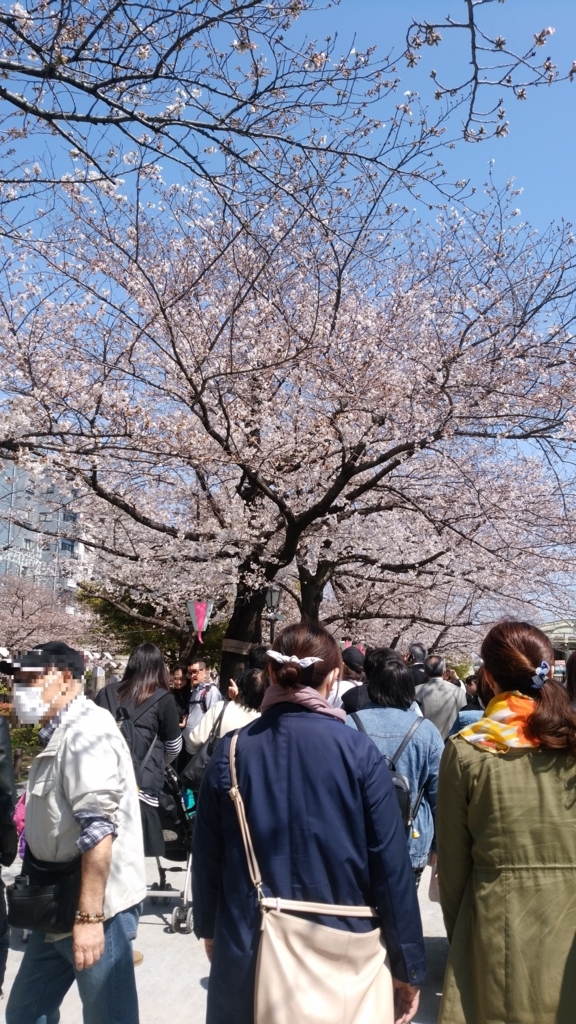 隅田川 お花見 桜