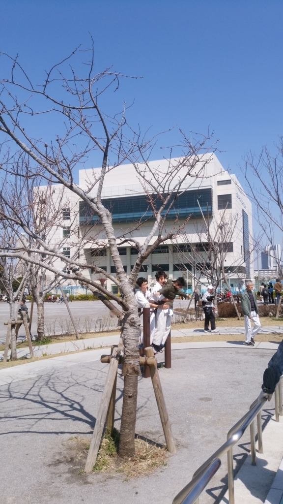 隅田川 お花見 桜