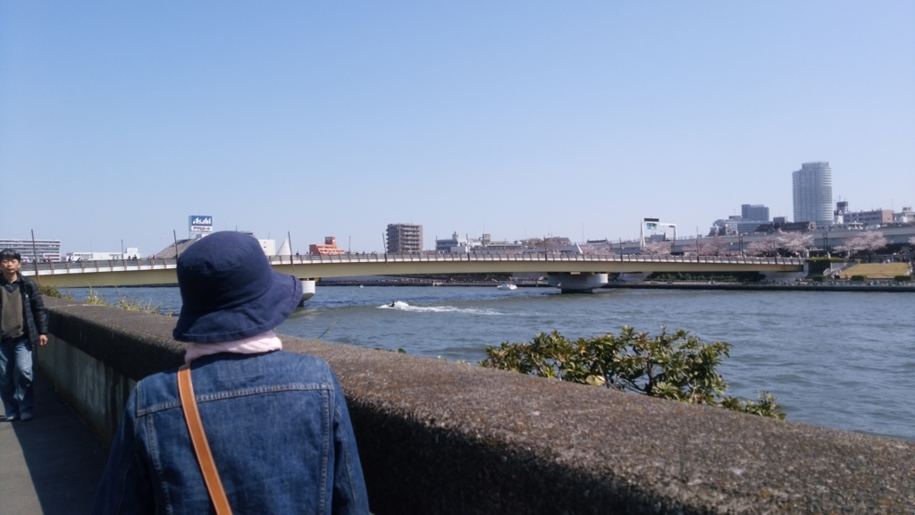 隅田川 お花見 桜