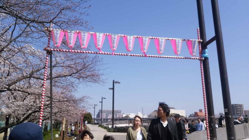 隅田川 お花見 桜