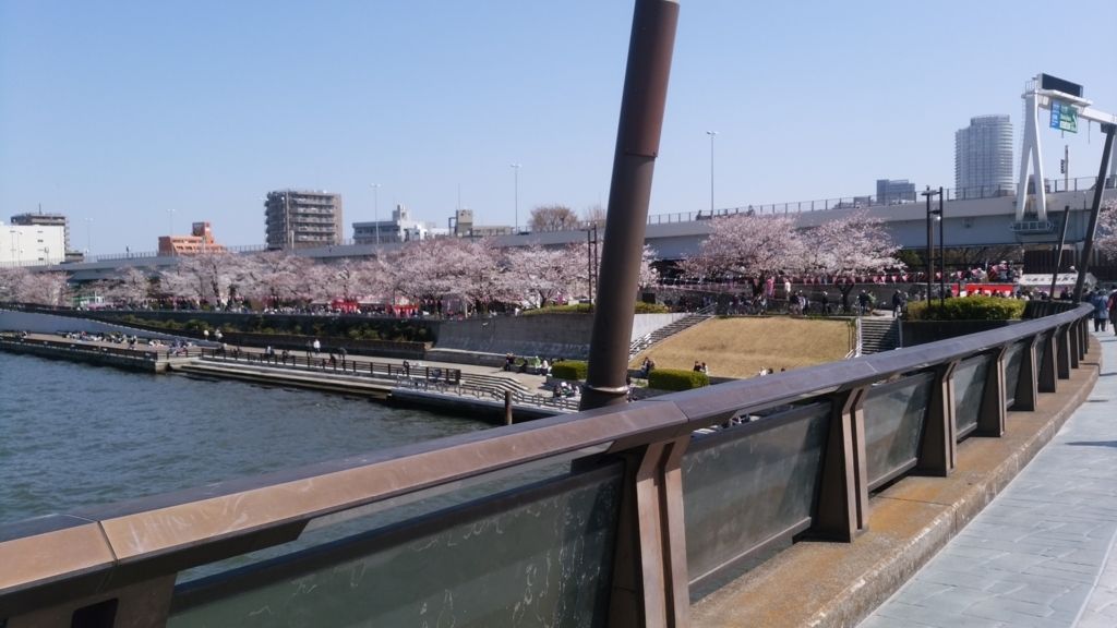 隅田川 お花見 桜