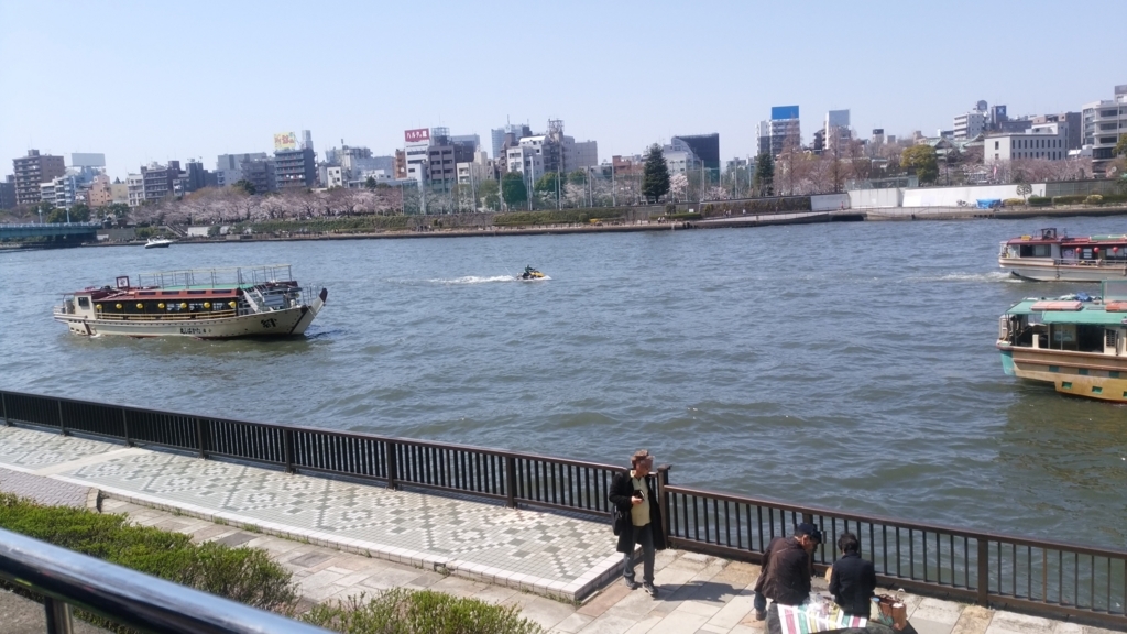 隅田川 お花見 桜