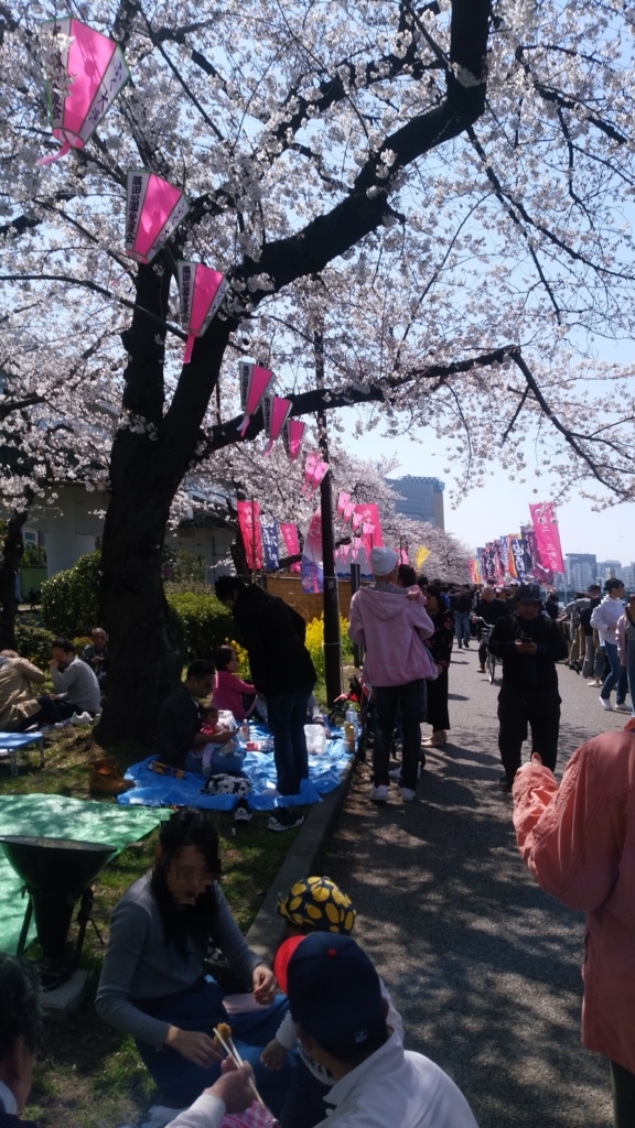 隅田川 お花見 桜