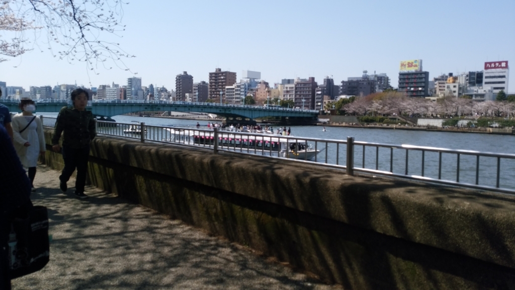 隅田川 お花見 桜