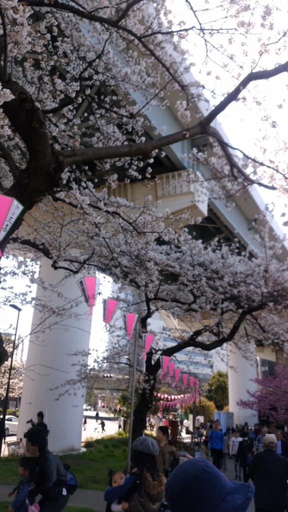 隅田川 お花見 桜