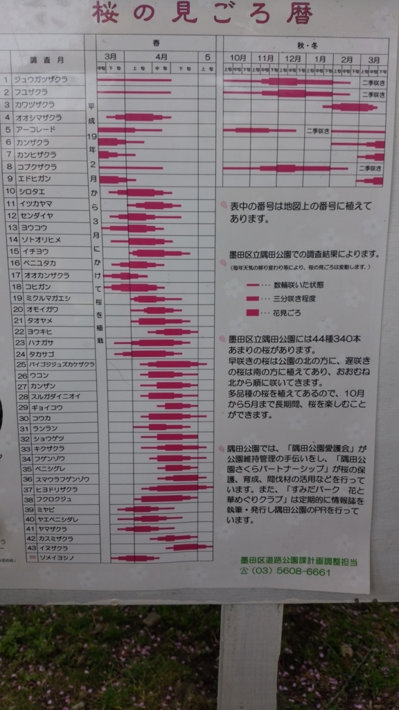 隅田川 お花見 桜