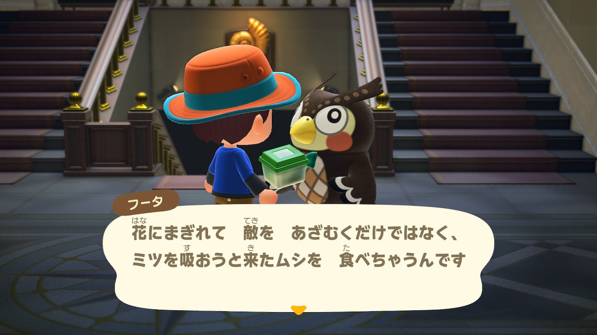 あつ森のフータによるハナカマキリの解説