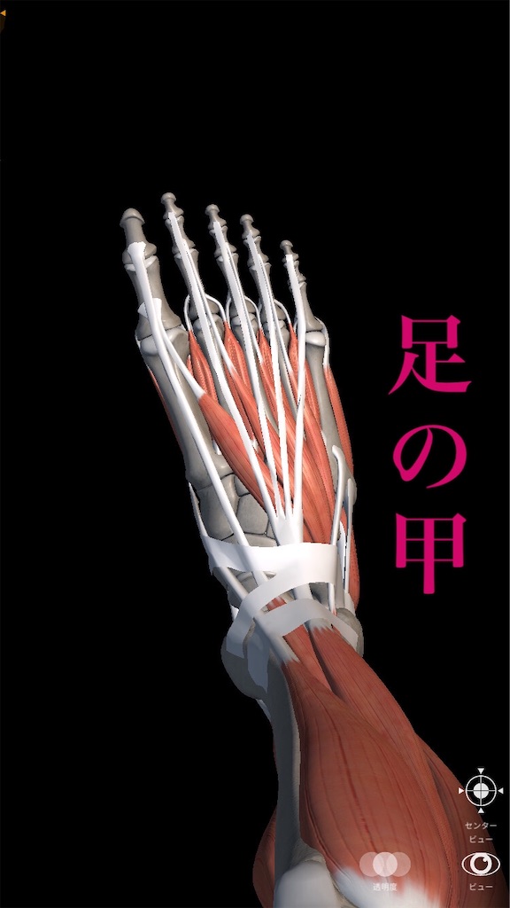 f:id:Taitokun:20200703083345j:image f:id:Taitokun:20200703083345j:image