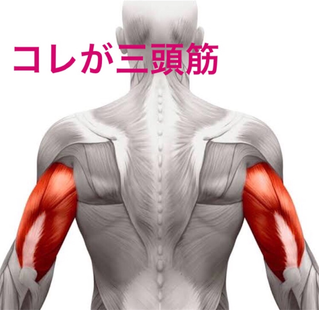 f:id:Taitokun:20200809205607j:image f:id:Taitokun:20200809205607j:image