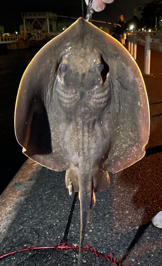 f:id:Taiyaki_outdoor:20210916200746p:plain