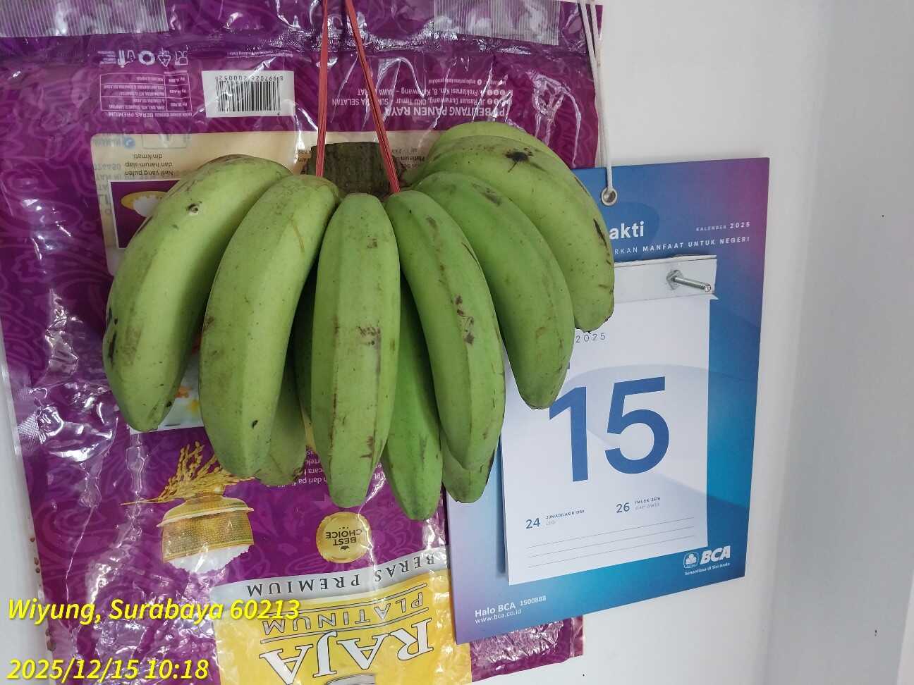 f:id:TakaINDONESIA:20251215123152j:image