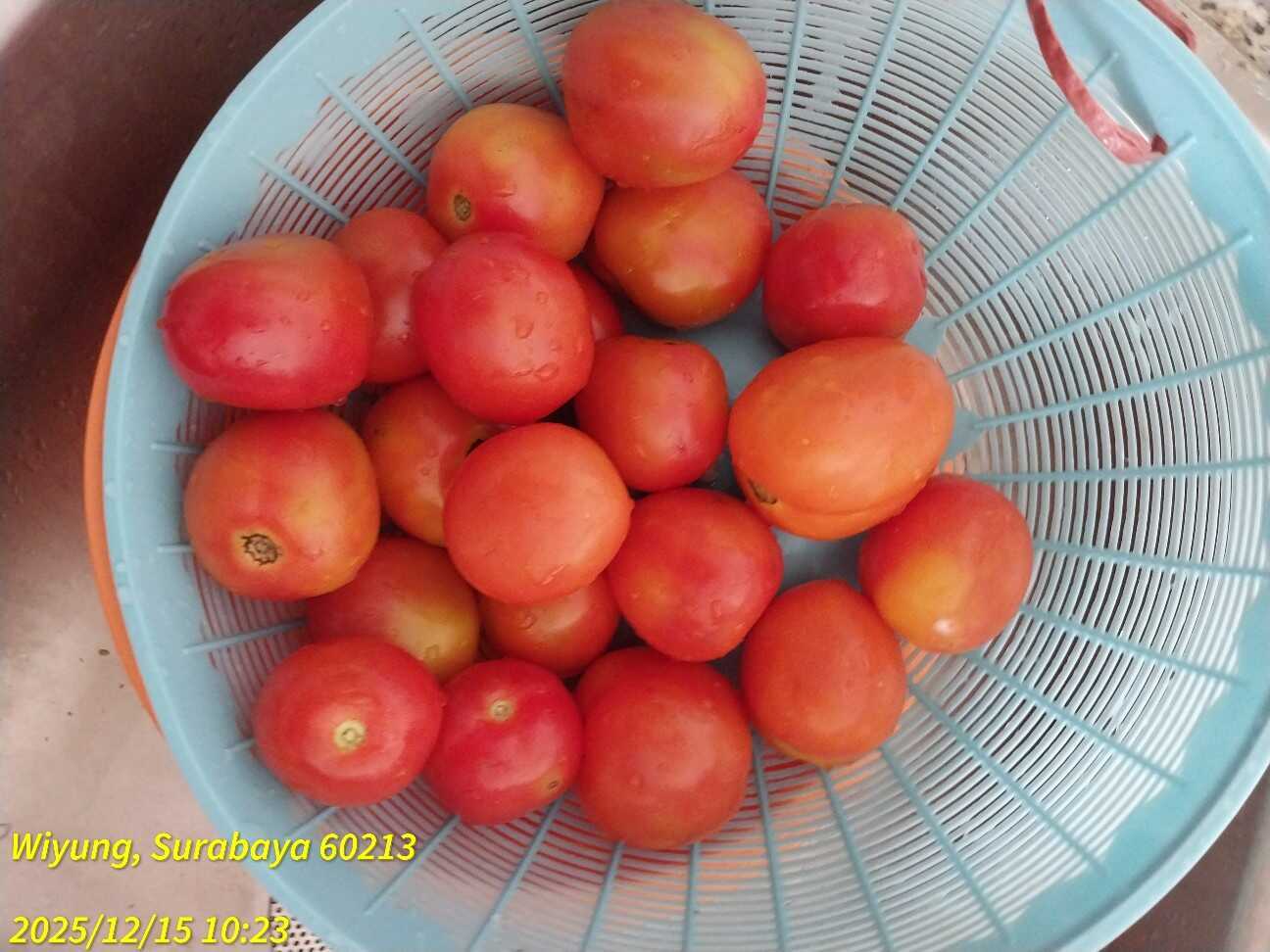 f:id:TakaINDONESIA:20251215123541j:image