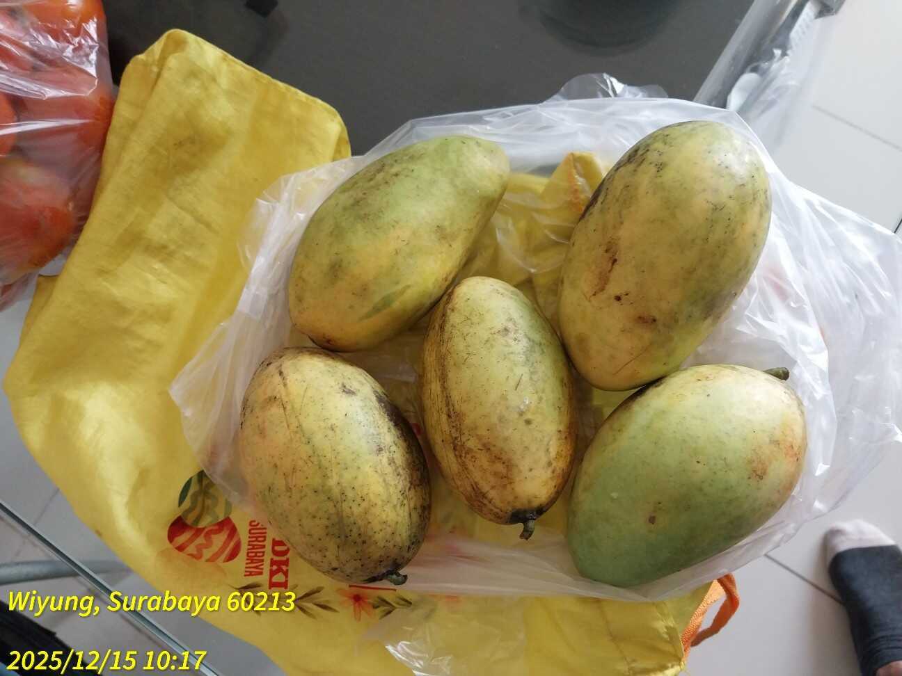 f:id:TakaINDONESIA:20251215124406j:image