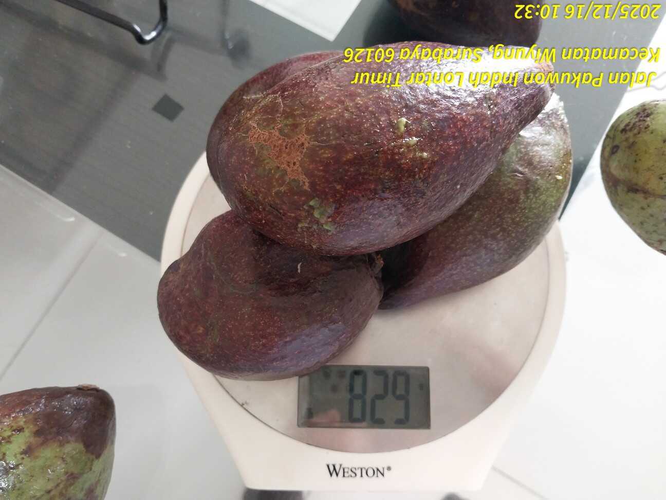 f:id:TakaINDONESIA:20251216130338j:image