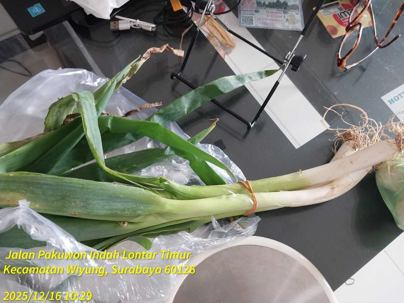 f:id:TakaINDONESIA:20251216131458j:image