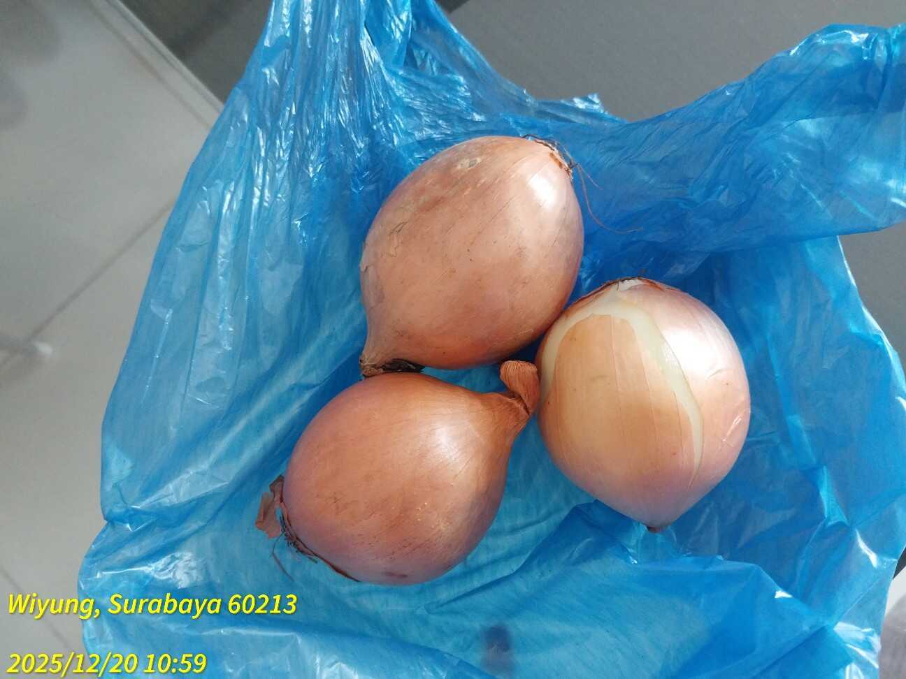 f:id:TakaINDONESIA:20251220134935j:image