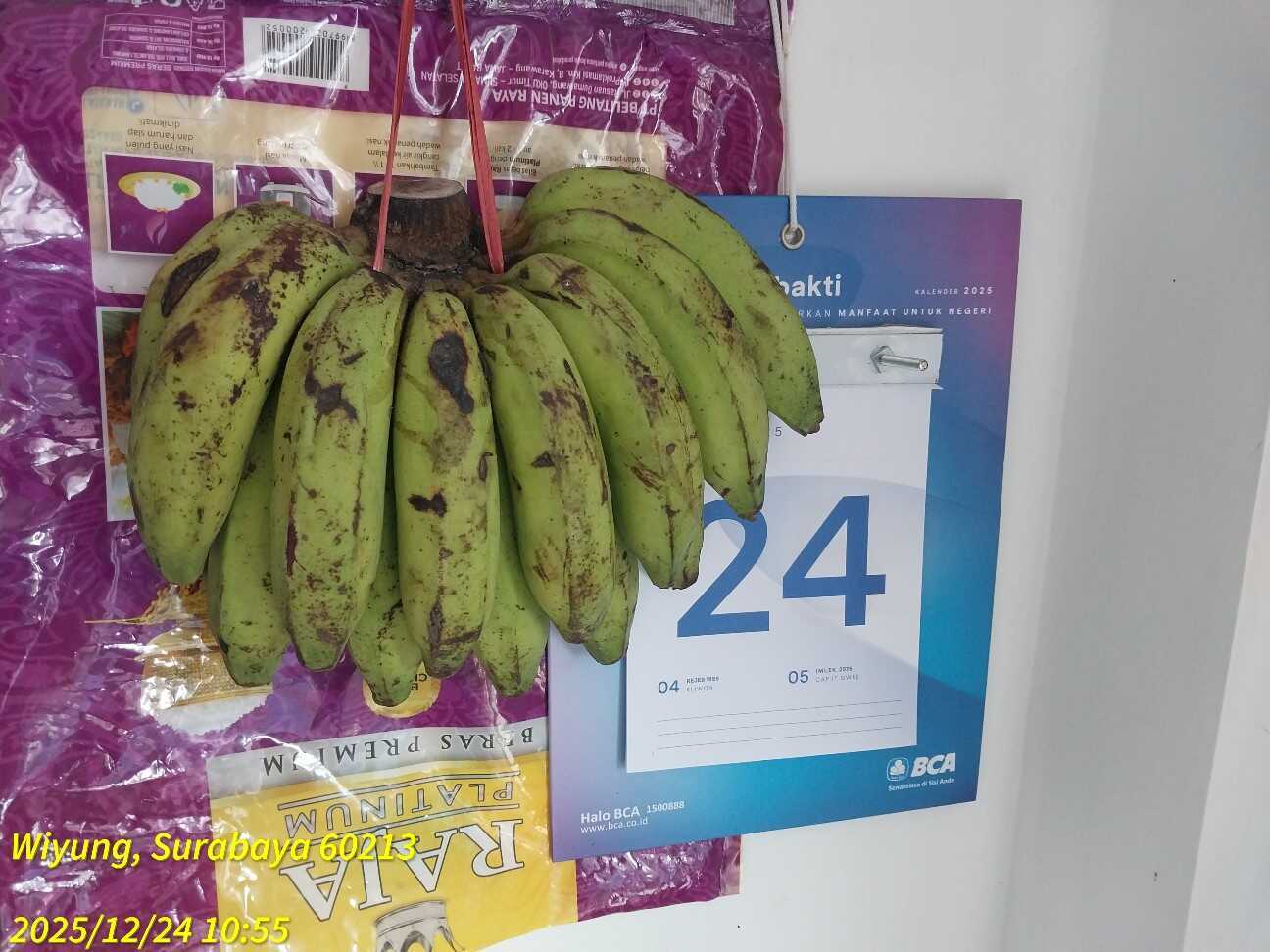 f:id:TakaINDONESIA:20251224134055j:image