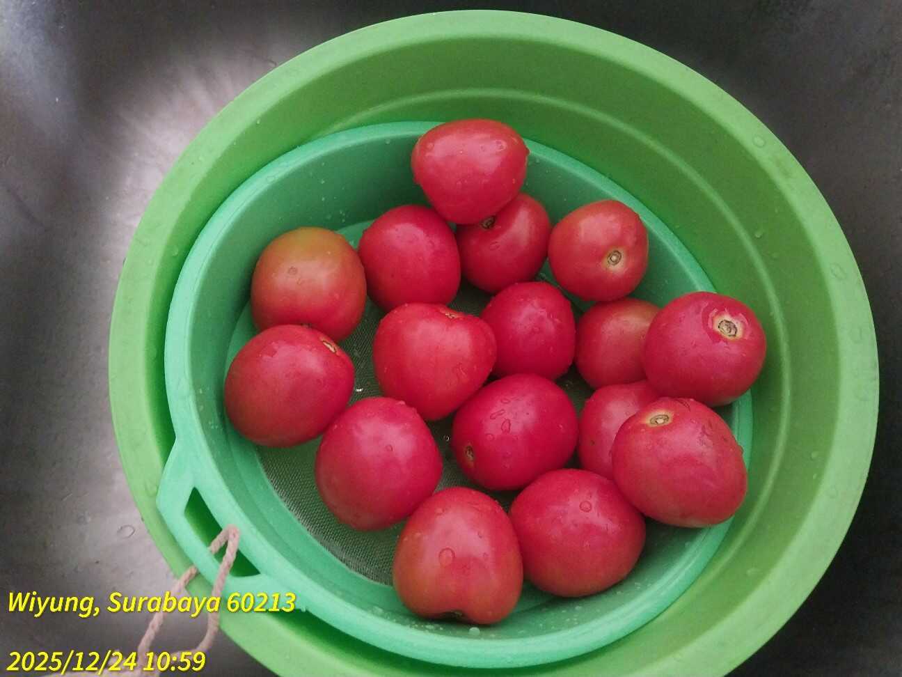 f:id:TakaINDONESIA:20251224134209j:image