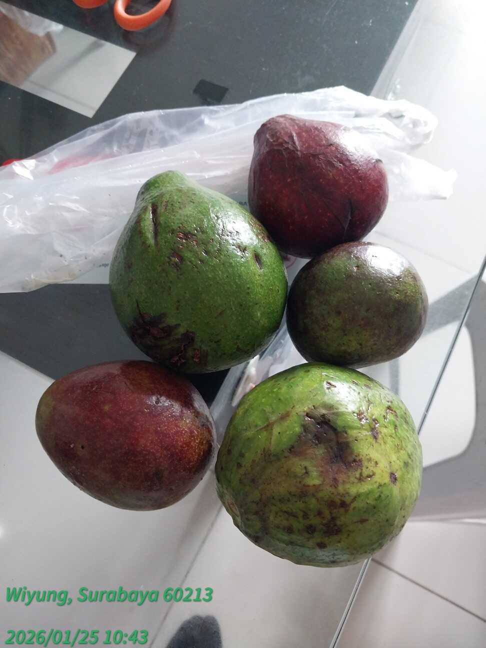 f:id:TakaINDONESIA:20260125150327j:image