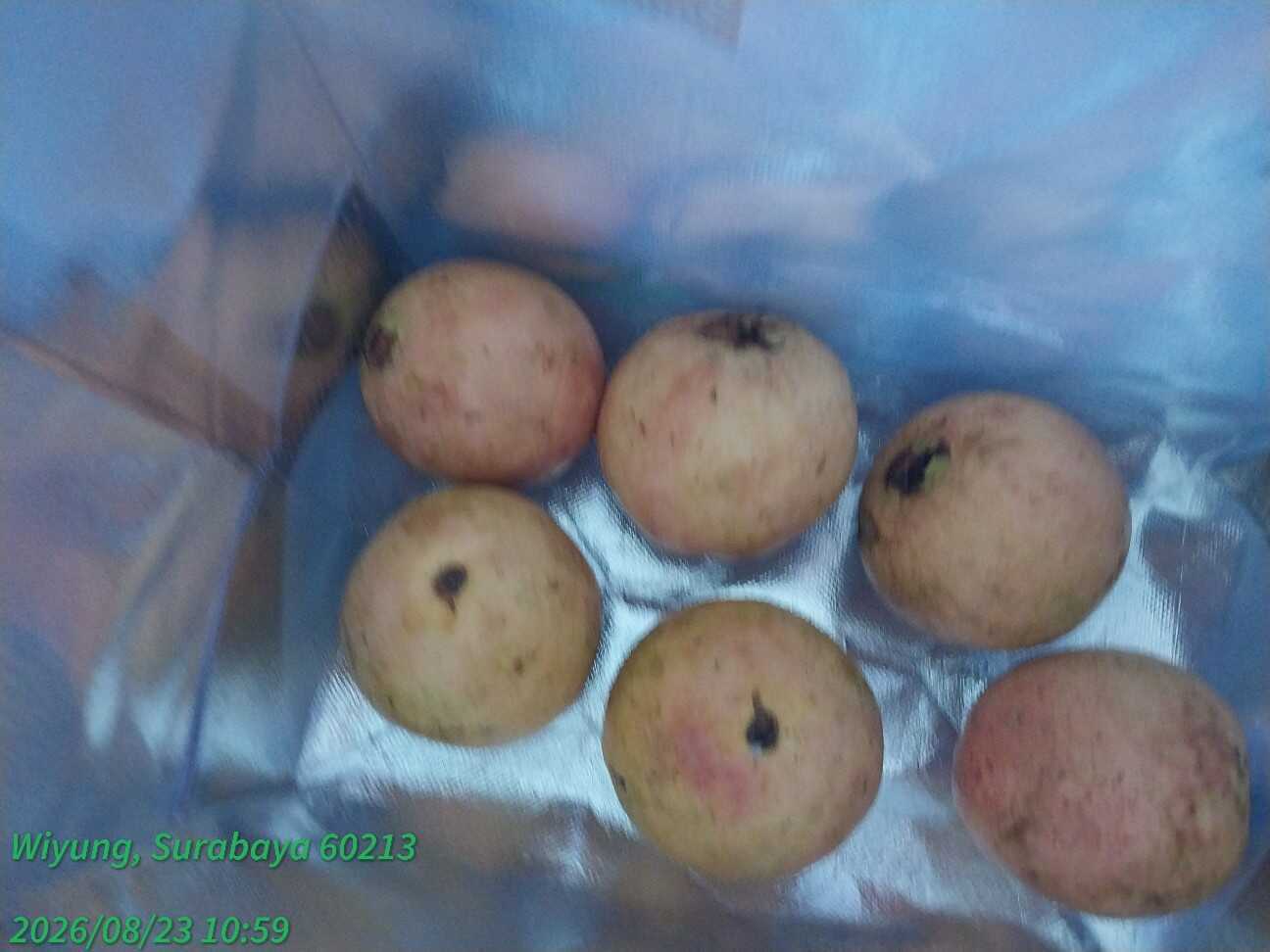 f:id:TakaINDONESIA:20260823134127j:image