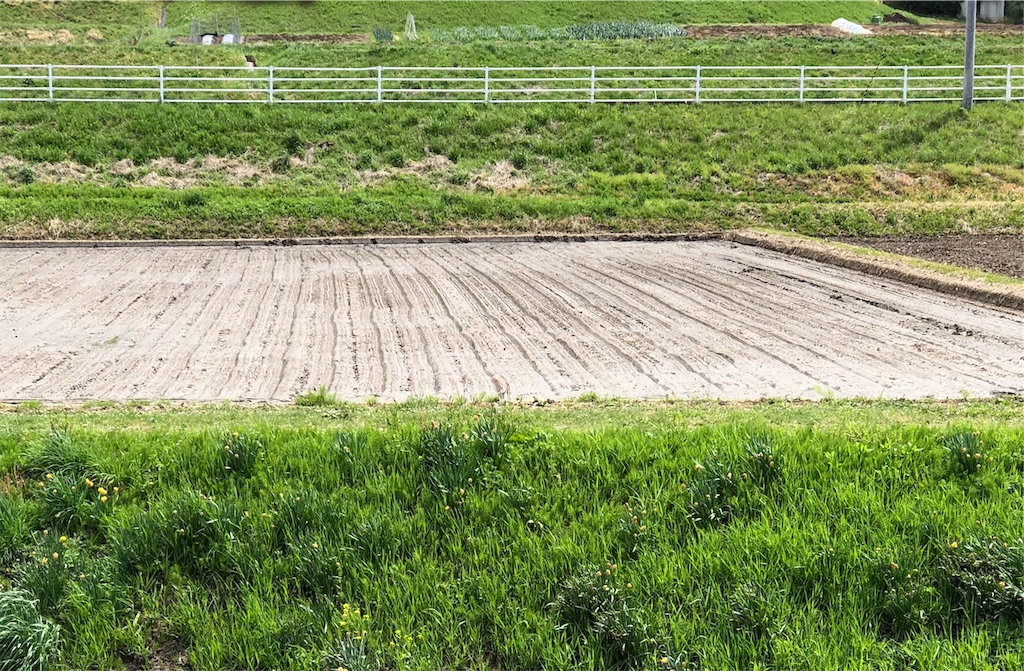 f:id:TakaWata:20190503114618j:image f:id:TakaWata:20190503114618j:image