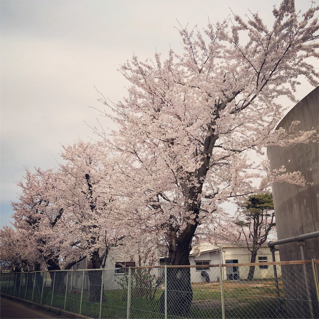 f:id:TakakoSakaba:20190412154251j:image f:id:TakakoSakaba:20190412154251j:image