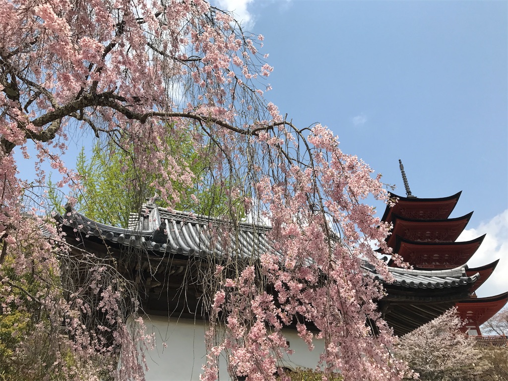 f:id:TakasJournaling:20170418200720j:image f:id:TakasJournaling:20170418200720j:image