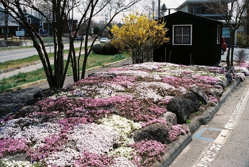 画像14