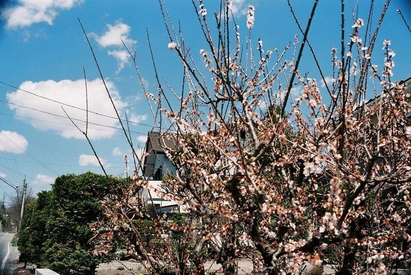 画像15