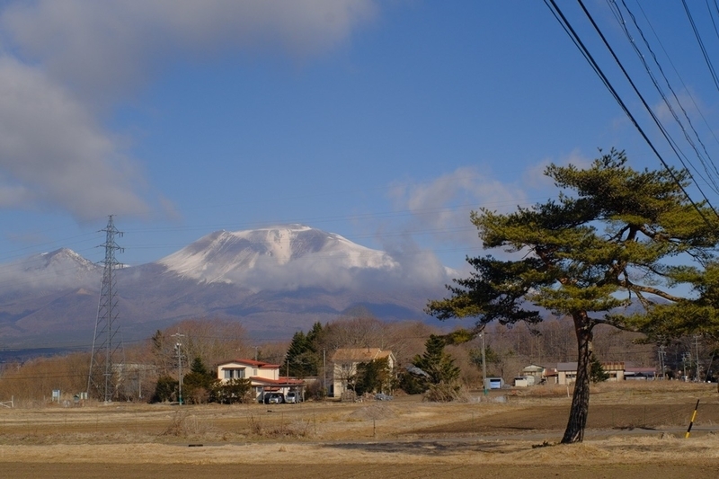 画像11