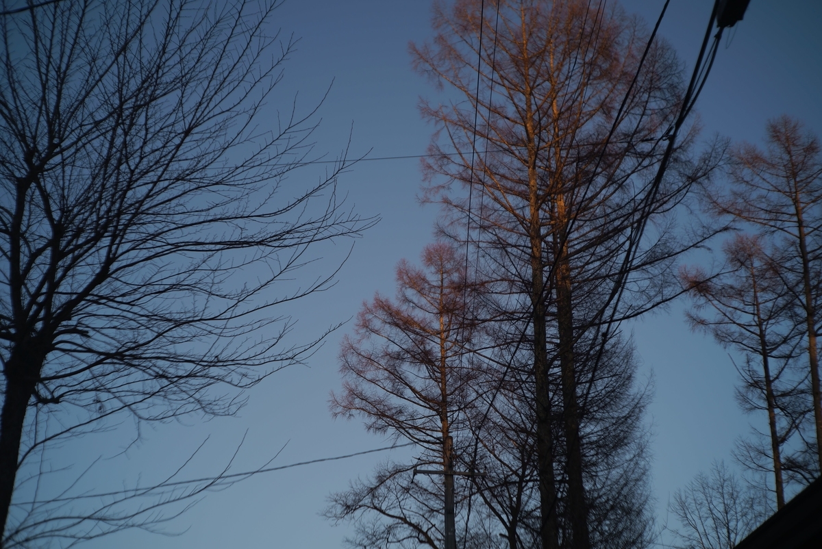 f:id:Take9_htn:20210201214406j:plain